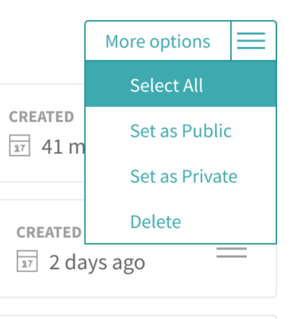 More Options menu